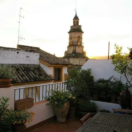 Precioso Atico Junto A La Magdalena Cordoba